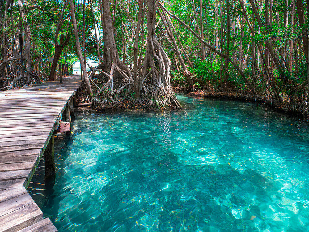 Celestún Natural reserve Tour from Merida