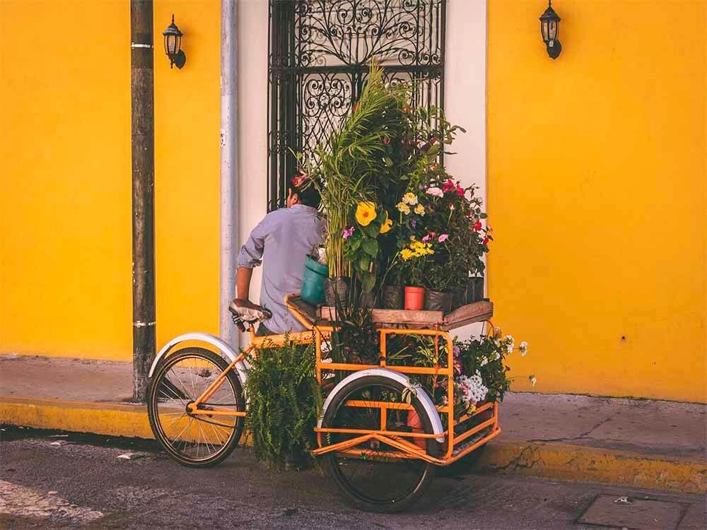 Izamal day tour from Mérida