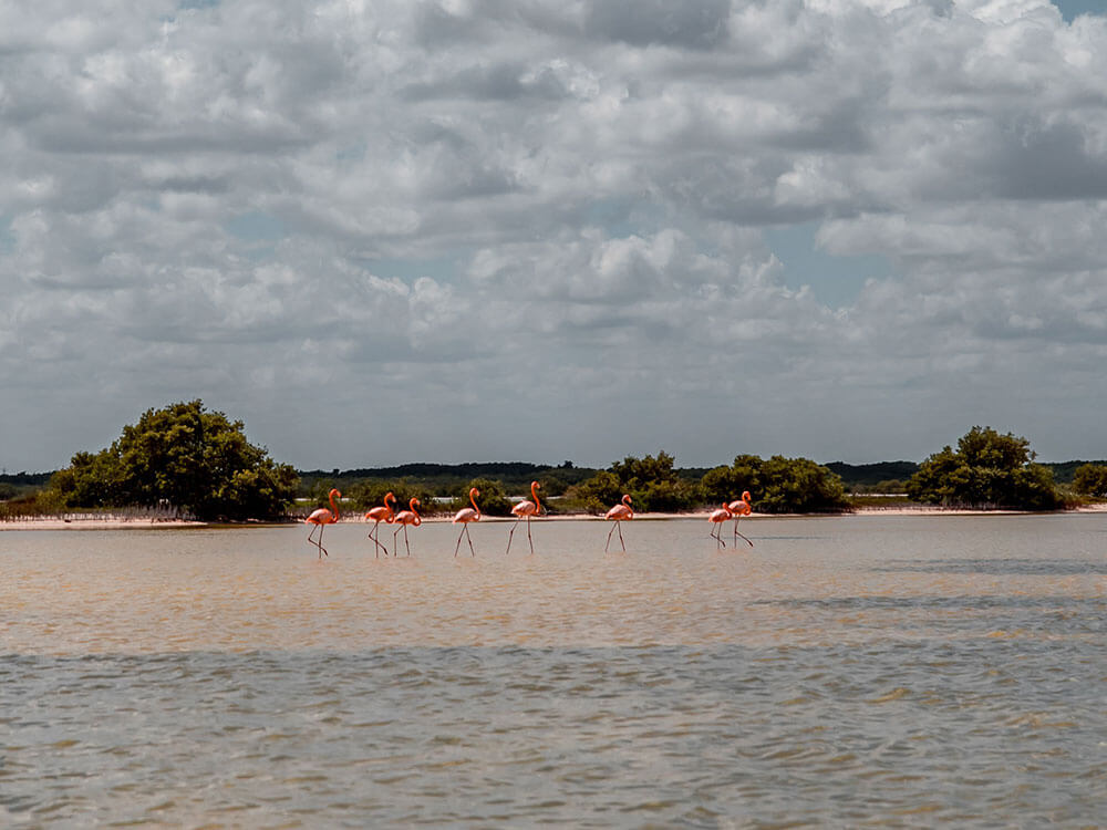 Las Coloradas one day experience