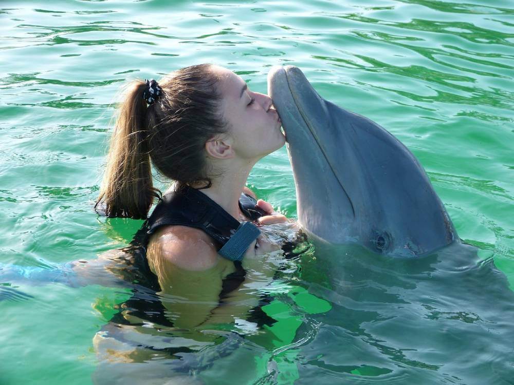 Swim with dolphins at isla Mujeres