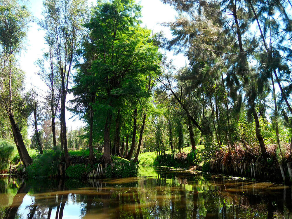 Xochimilco boat tour and visit to University